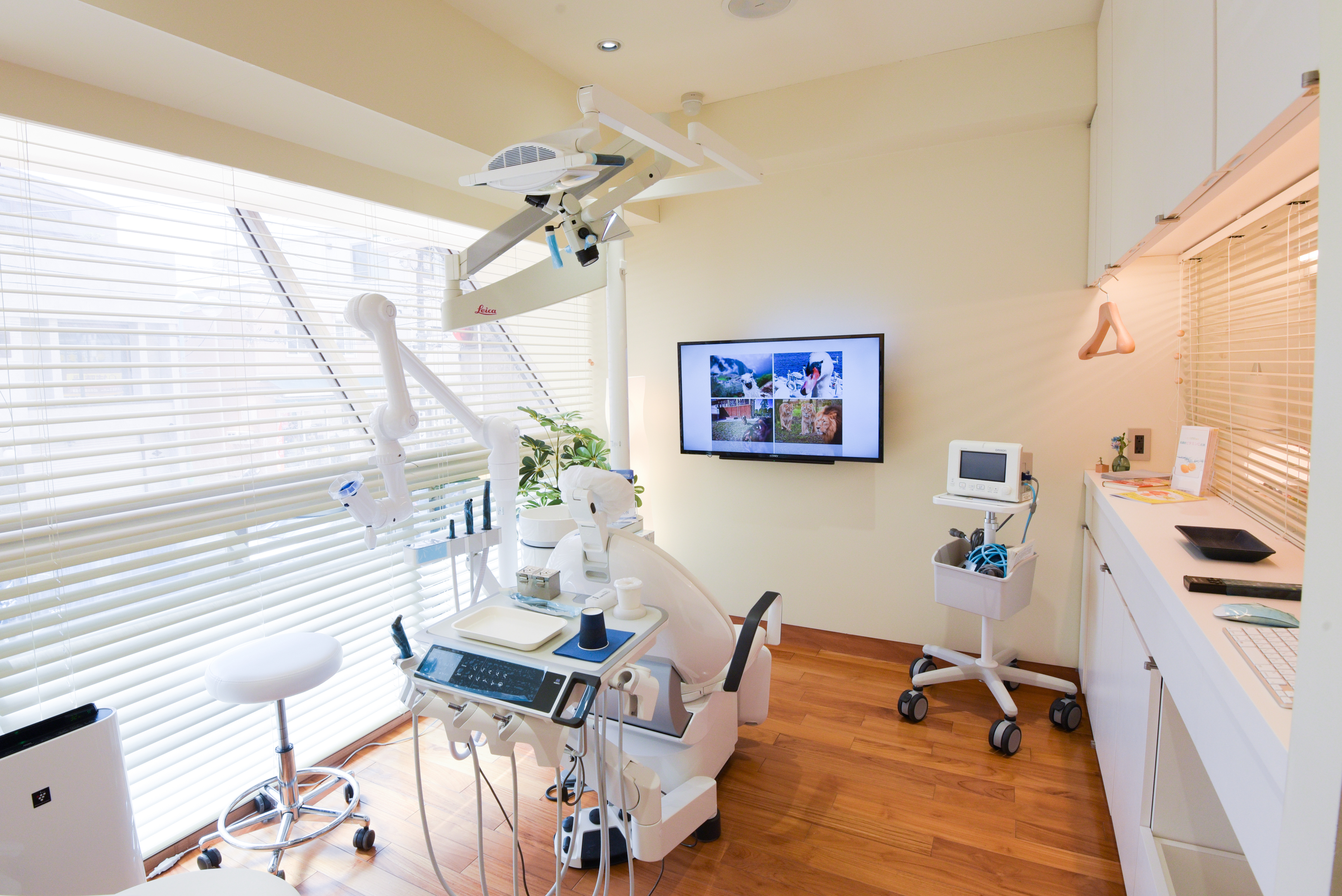 3_d75_8204_170310のコピー